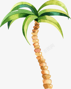 椰子糖包装文艺清新花草海报装饰椰子树高清图片