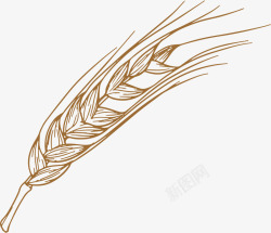 燕麦植物谷物卡通燕麦矢量图高清图片