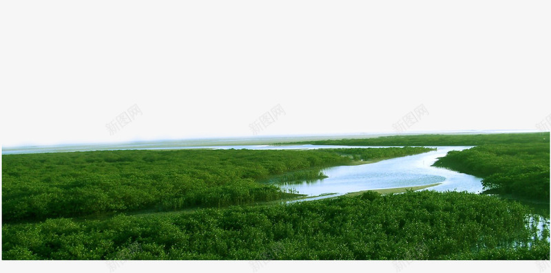 延绵不绝的河水png免抠素材_新图网 https://ixintu.com 山峰 摄影 林业 林地 树木 树林 森林 植物 河流 绿色 自然