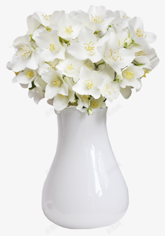 花瓶里的花png免抠素材_新图网 https://ixintu.com 好看 实物 洁白 花朵