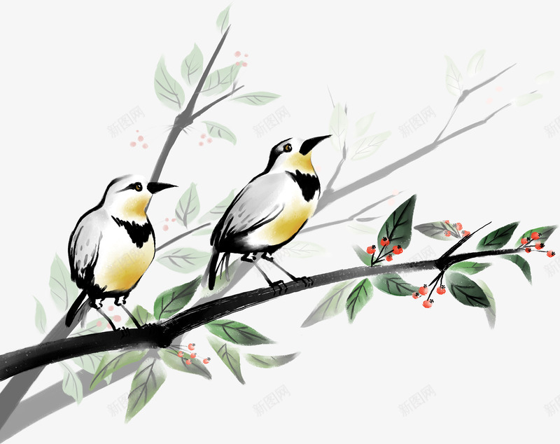 手绘树枝上的鸟PSDpsd免抠素材_新图网 https://ixintu.com PSD分层素材 动物psd模板 平面设计psd源文件 设计素材