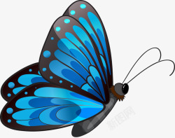 蝴蝶1动物卡通蓝色素材