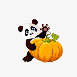 害羞小熊猫卡通躲在南瓜后面打招呼的小熊猫高清图片