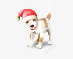 可爱斑点戴圣诞帽小狗素材