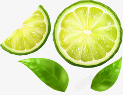 自色绿色植物背景图片青色柠檬片高清图片