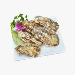 香菜海蛎美食素材