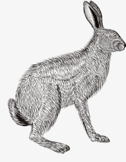 铅笔兔子画素材