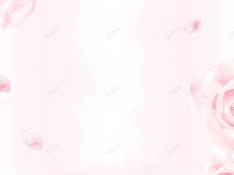玫瑰背景png免抠素材_新图网 https://ixintu.com 卡通 手绘 玫瑰 粉色