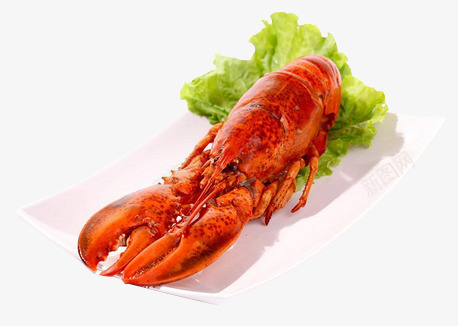 美味的大龙虾实物图png免抠素材_新图网 https://ixintu.com 大龙虾 实物图 海鲜 美味的 美食 蔬菜 食物