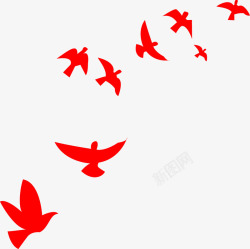 飞舞的红色鸽子鸟类素材