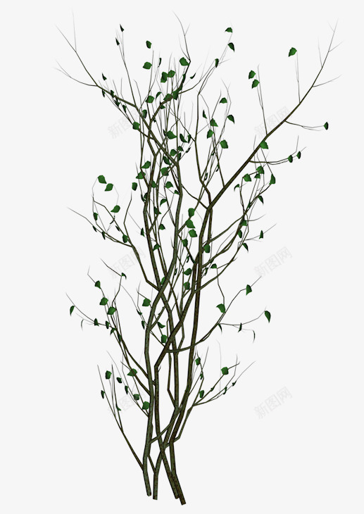 简单的树枝png免抠素材_新图网 https://ixintu.com 好看 树枝 棕色 简单