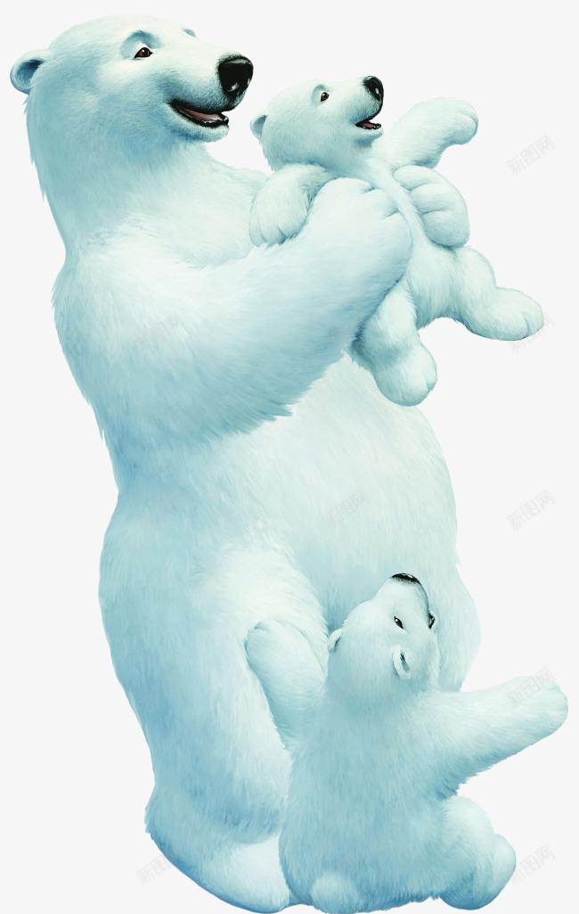 白色的北极熊家庭png免抠素材_新图网 https://ixintu.com 冰地 北极 网络 装饰 设计