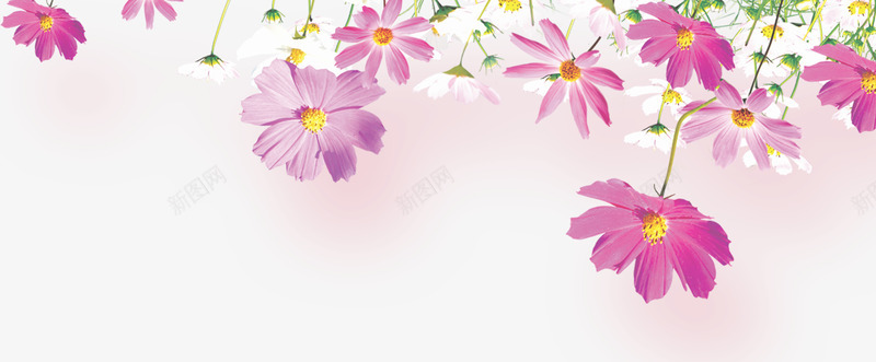 好看的花朵png免抠素材_新图网 https://ixintu.com 好看的花朵 小清新风格 粉色 粉色花朵 花卉边框 花朵 装饰图