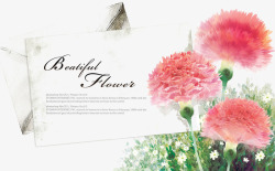 水印花卉康乃馨花纹高清图片