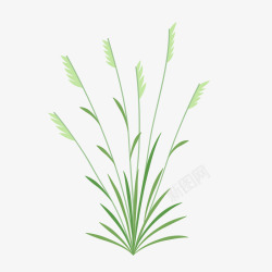 绿色的草天素材