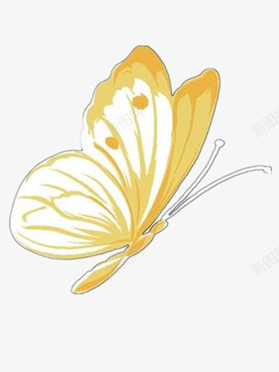 单飞的蝴蝶png免抠素材_新图网 https://ixintu.com 图片 文艺 素雅 美丽