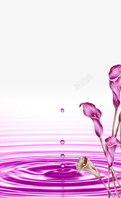 紫色大气花卉唯美背景素材