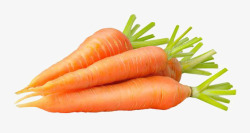 胡萝卜条蔬菜卡通胡萝卜高清图片