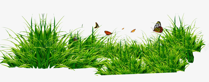 草丛与蝴蝶png免抠素材_新图网 https://ixintu.com png图片 免费png 成群的蝴蝶 昆虫 绿色 自然 青草