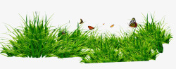 青草素材草丛与蝴蝶高清图片