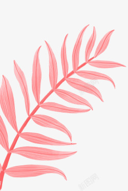 粉色手绘的树叶子素材