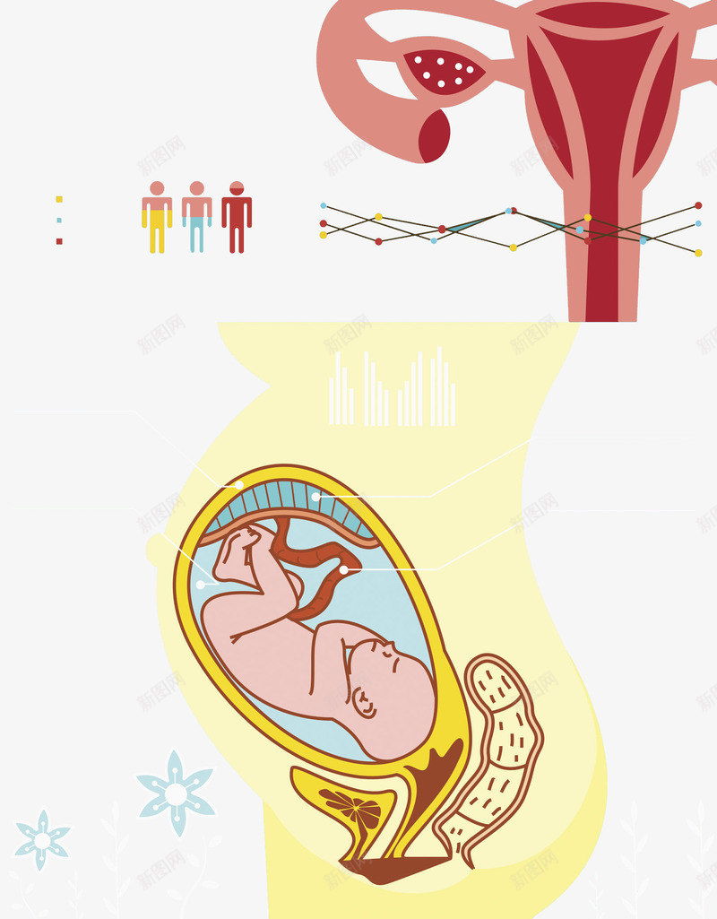 熟睡的胎儿png免抠素材_新图网 https://ixintu.com 卡通 呵护子宫 子宫 孕妇 孕育生命 生殖器官 盆腔 胎儿