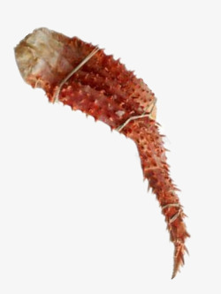 红腿蟹脚高清图片