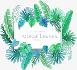 热带植物边框手绘绿色植物装饰边框矢量图高清图片