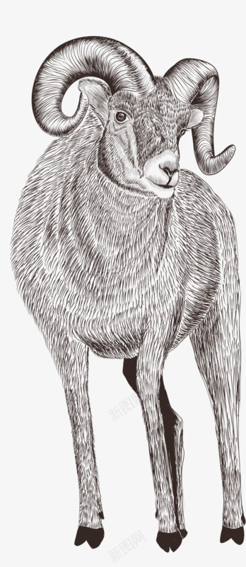 铅笔棉羊png免抠素材_新图网 https://ixintu.com 动物 卡通 好看 彩色 手绘