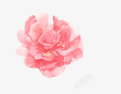 手绘粉红花素材