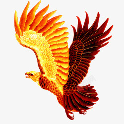 红色老鹰鹰高清图片