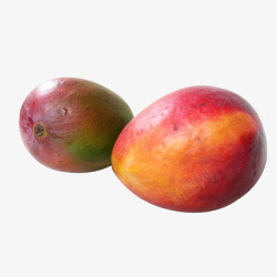 2个热带水果芒果素材