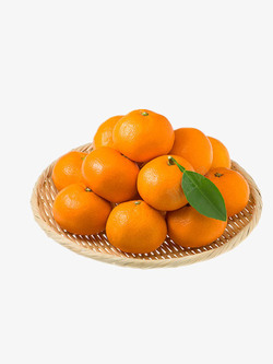 芷江柑橘蜜桔高清图片
