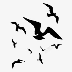 鸟累展示飞翔群鸥高清图片