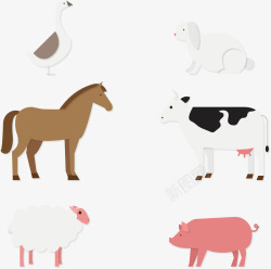 畜牧业养殖动物矢量图素材