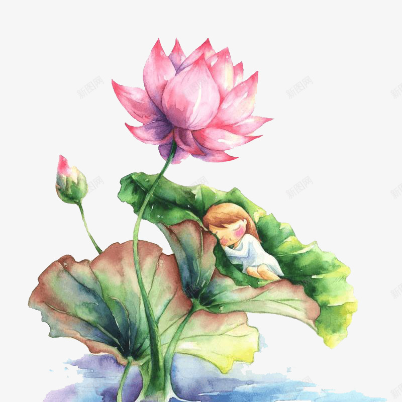 荷叶荷花花池塘png免抠素材_新图网 https://ixintu.com ps花池 池塘 荷花荷叶满池塘 花 荷叶 荷花