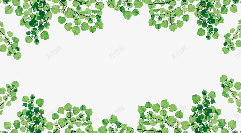 绿色的叶子边框psd免抠素材_新图网 https://ixintu.com 叶子 春天 植物 清透 绿色