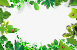 树叶太极图形绿色边框高清图片