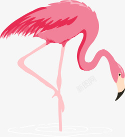 站立的仙鹤手绘粉色仙鹤高清图片