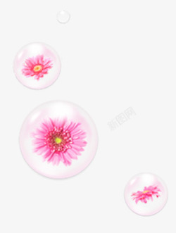 粉色雏菊圆形泡泡素材