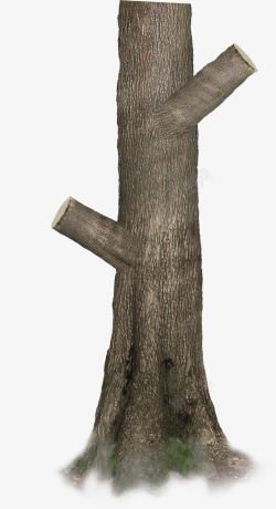 冬季木头树桩素材