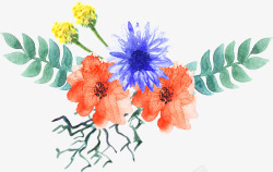 花卉装饰插画手绘花草装饰高清图片