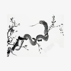 黑色水墨蛇盘旋在树枝上素材