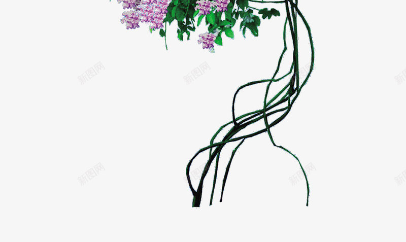 绿色植物png免抠素材_新图网 https://ixintu.com 植物 盆栽 绿色 花 花草 草