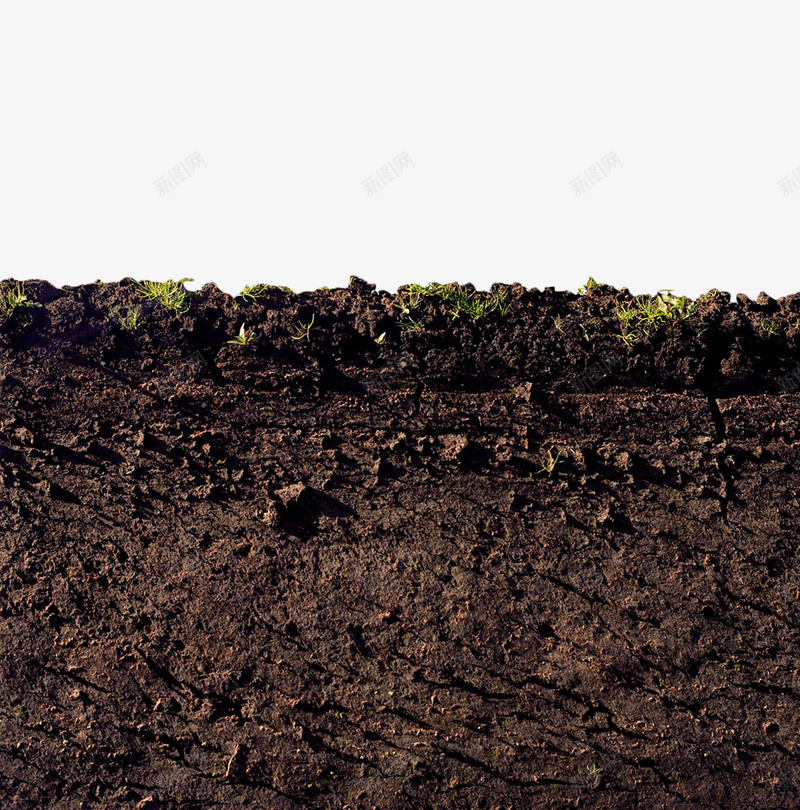 土壤横切面png免抠素材_新图网 https://ixintu.com 一堆泥土 土地 土壤 土壤剖面 泥土 褐色