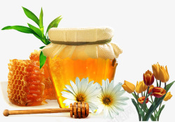 罐装蜂蜜秘制罐装菊花蜜高清图片