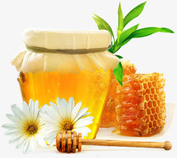 金色蜂蜜蜂蜜高清图片