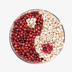红豆矢量图案精美精美的薏米红豆排放高清图片