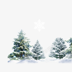 雪松松树冬天下雪冬季高清图片