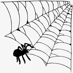 网状蛛丝手绘黑色网状蜘蛛丝图标高清图片